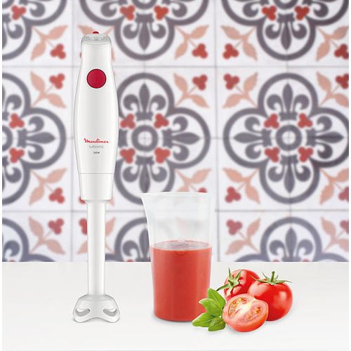 Moulinex mixeur plongeant Turbomix| Fiche Technique et Prix au Maroc