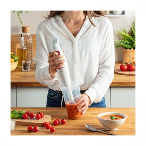 Moulinex Pied Mixeur plongeant TurboMix 350w + Bol 800 ml  très performant| Fiche Technique et Prix au Maroc