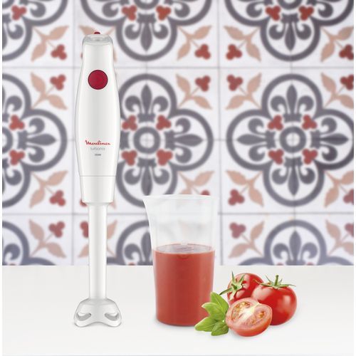 Moulinex Pied Mixeur TurboMix - DD12A - 350W - Bol 800ml| Fiche Technique et Prix au Maroc