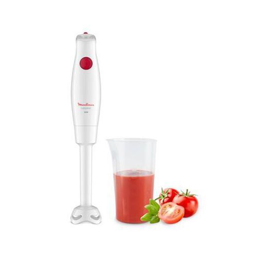 Moulinex PIED MIXEUR TURBOMIX DD12A110| Fiche Technique et Prix au Maroc