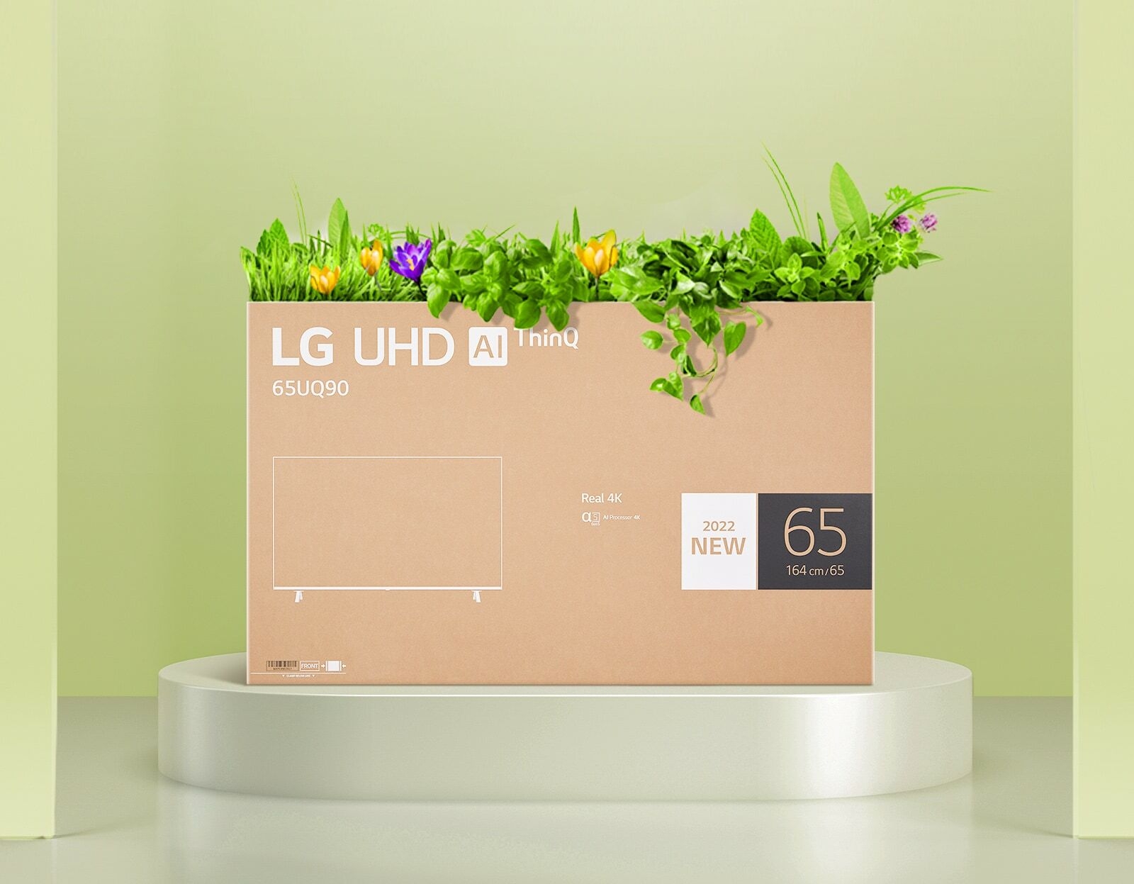 Une boîte à fleurs recyclée à l'aide d'un emballage de boîte de moniteur LG UHD.