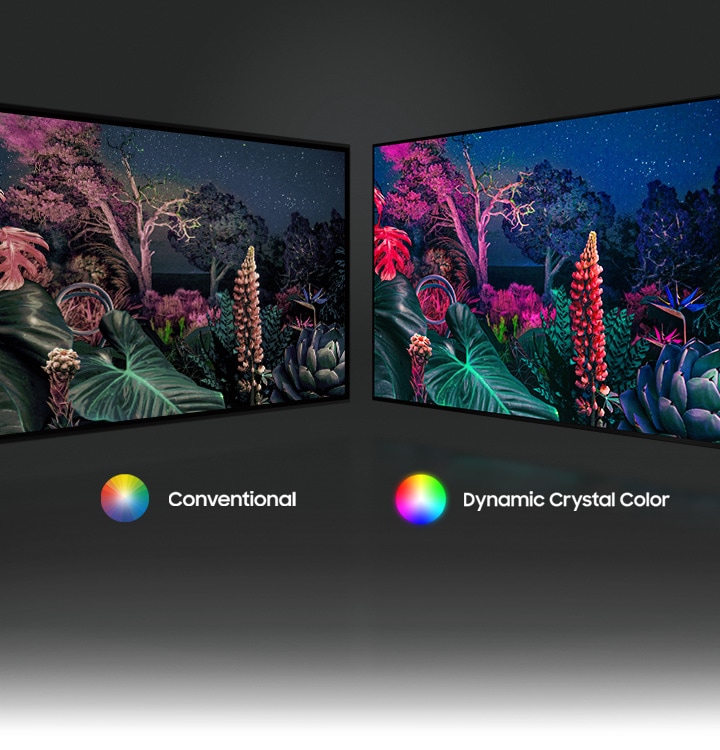 Des couleurs réalistes, une pureté de la finesse du cristal