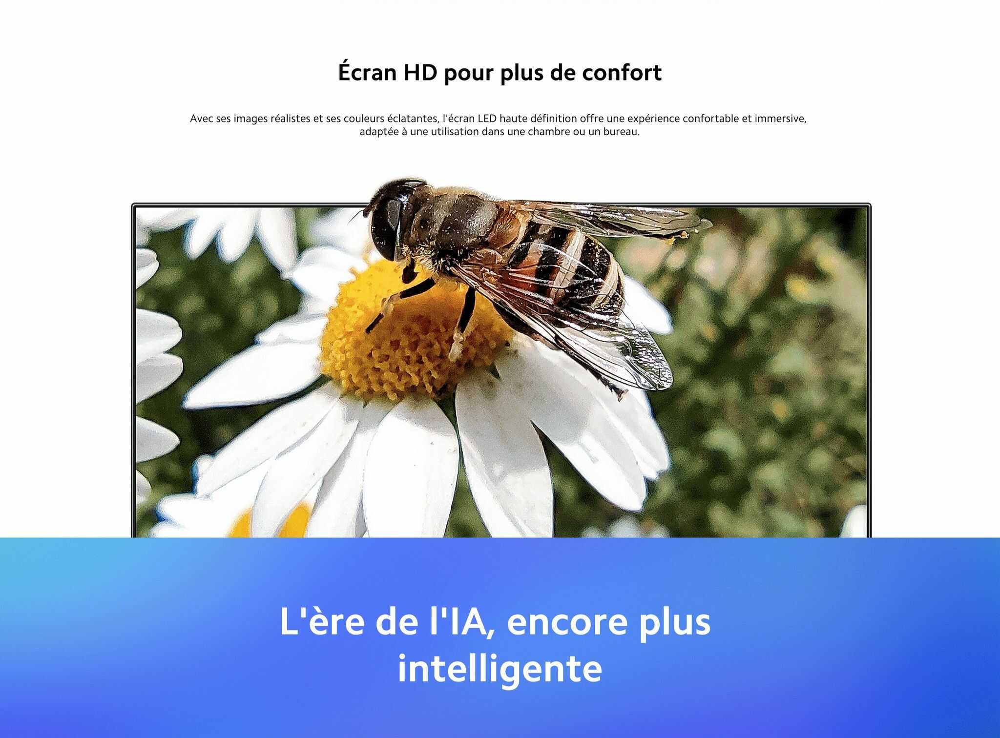 Aucune description disponible.