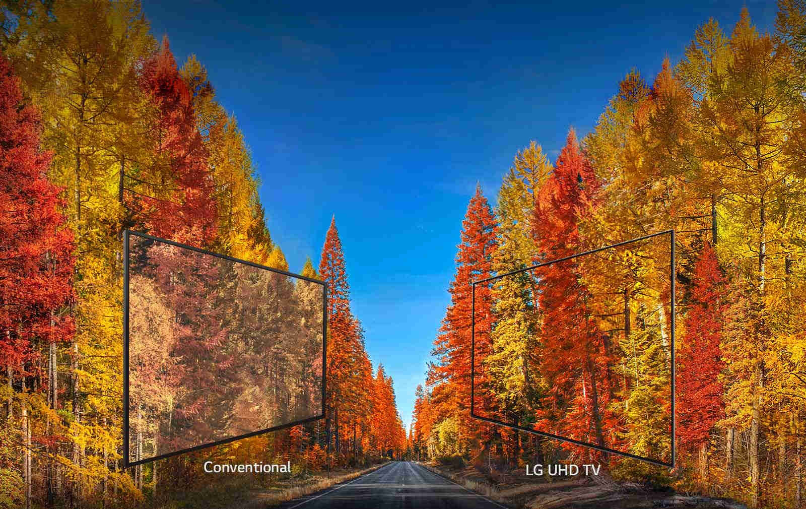 LG 55UK6470PLC  prix maroc