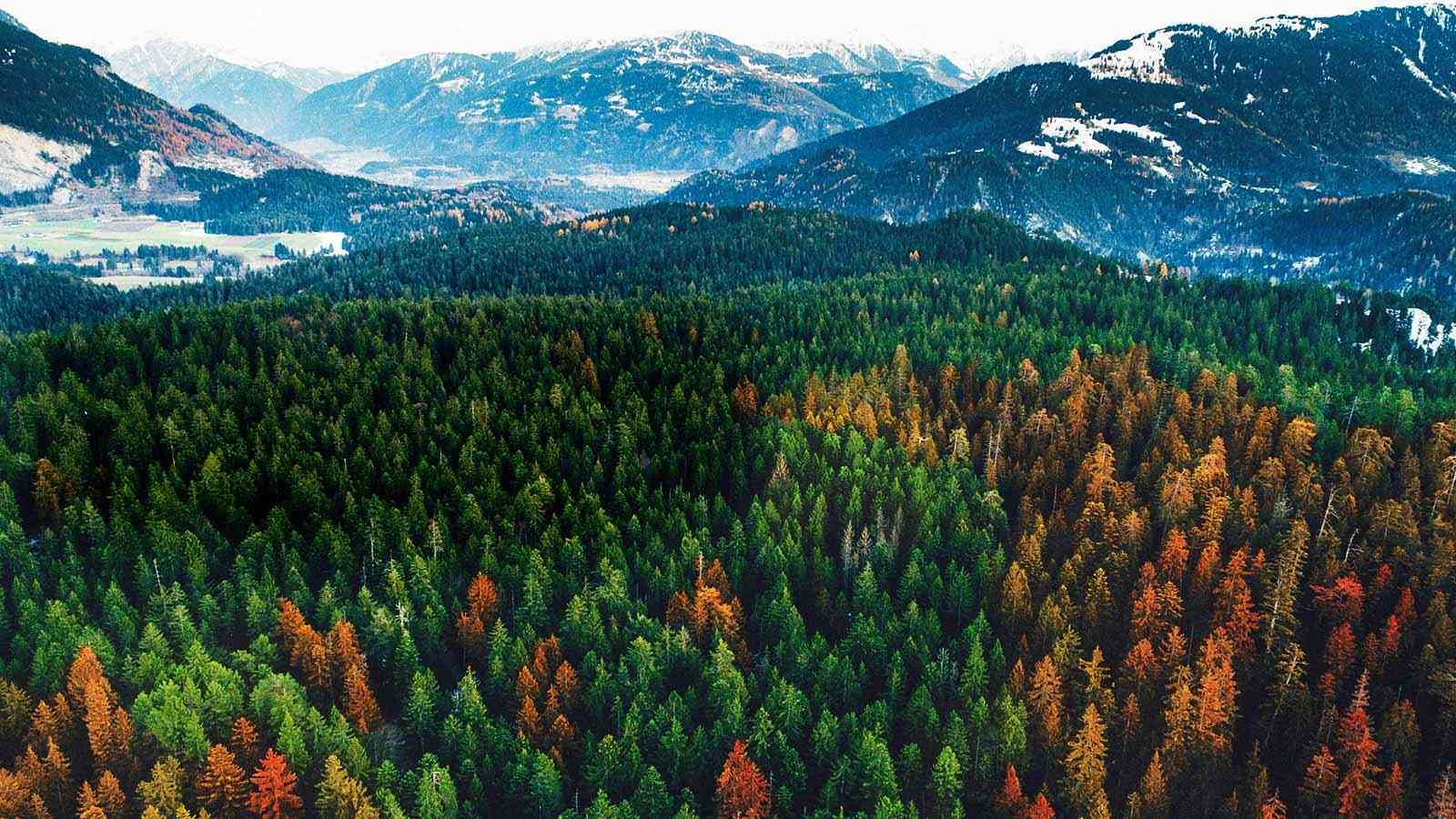 LG 55UK6470PLC  prix maroc