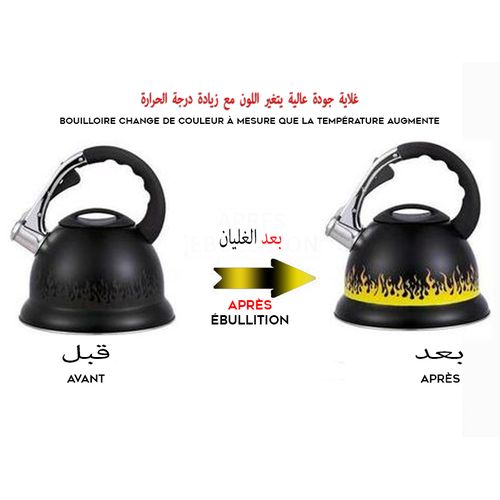Kenz Bouilloire Magic INOX INDUCTION 3L à Sifflet - Couleur Change après d'ébullition
 Fiche Technique et Prix au Maroc