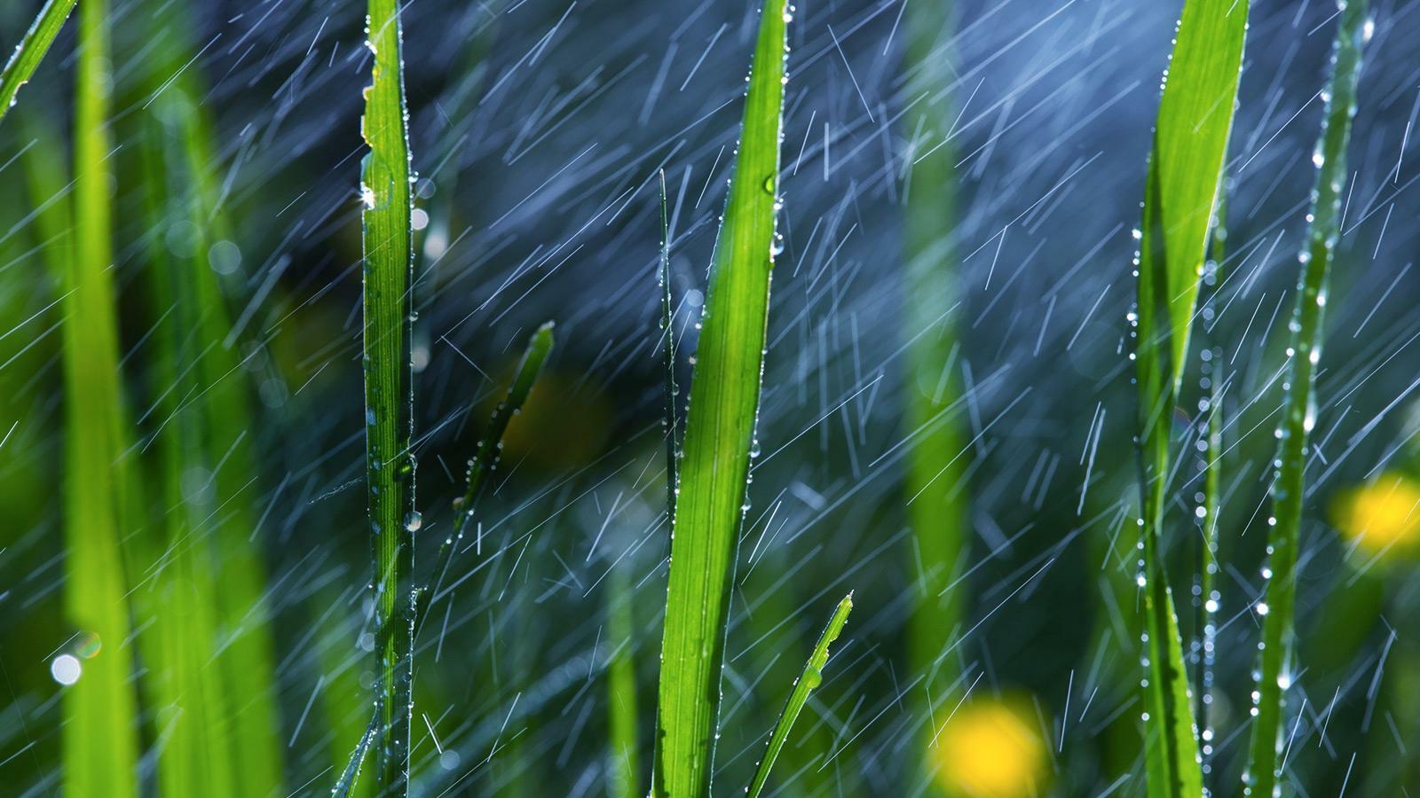 Sounds like a Winner1