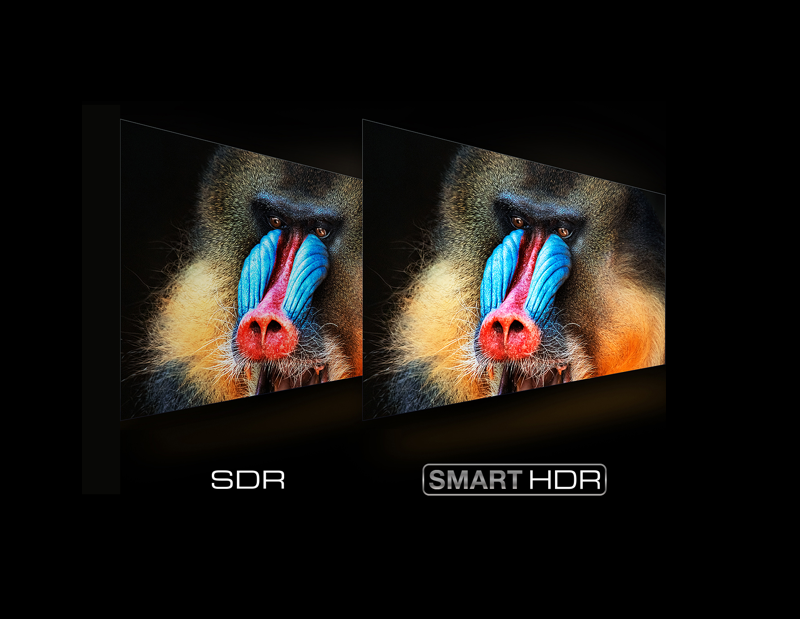 SMART HDR both improves native HDR and converts SDR to HDR.