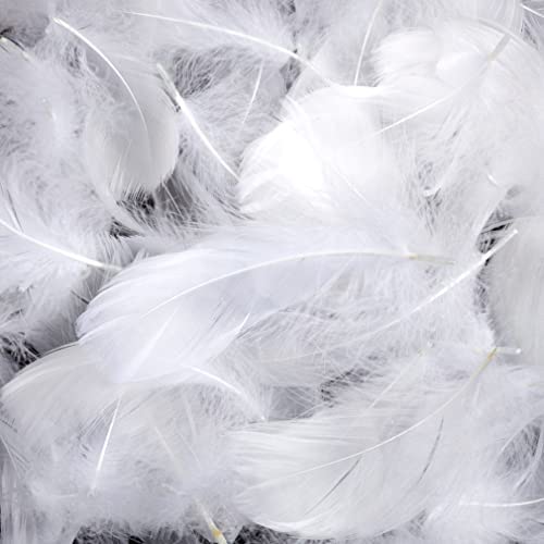 Totofy 600pcs Plumes Blanc - Naturel Plume Décoration - Idéal pour Costumes, Chapeaux, Décoration d'intérieur Fete Mariage Anniversaire Les Créations d'animaux à Plumes Blanc Fiche Technique et Prix au Maroc