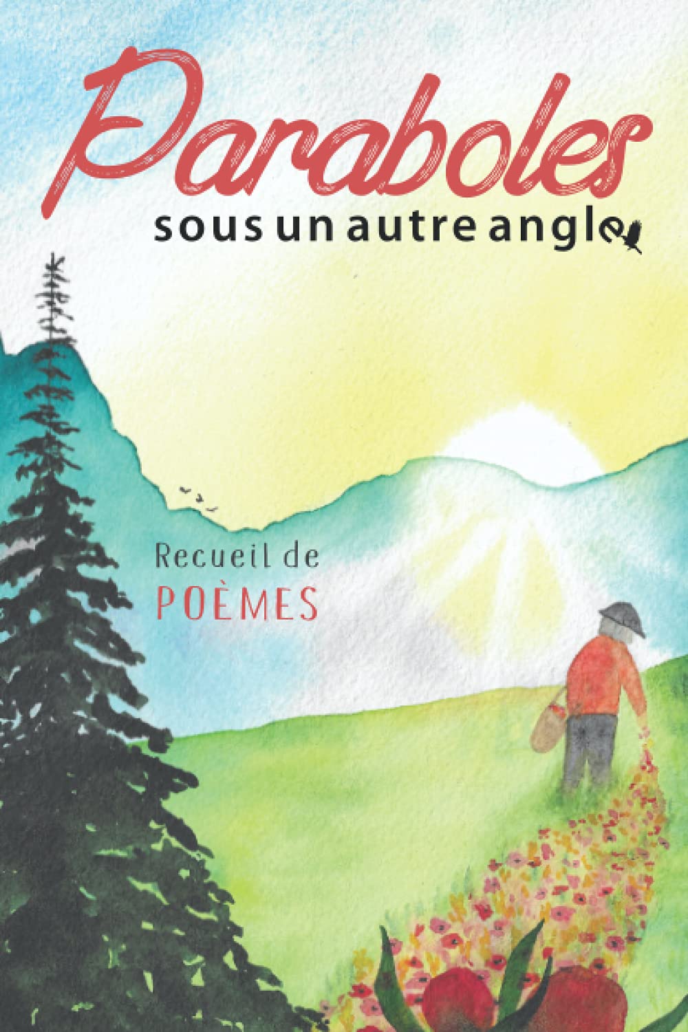 Paraboles (sous un autre angle): Recueil de poèmes Fiche Technique et Prix au Maroc
