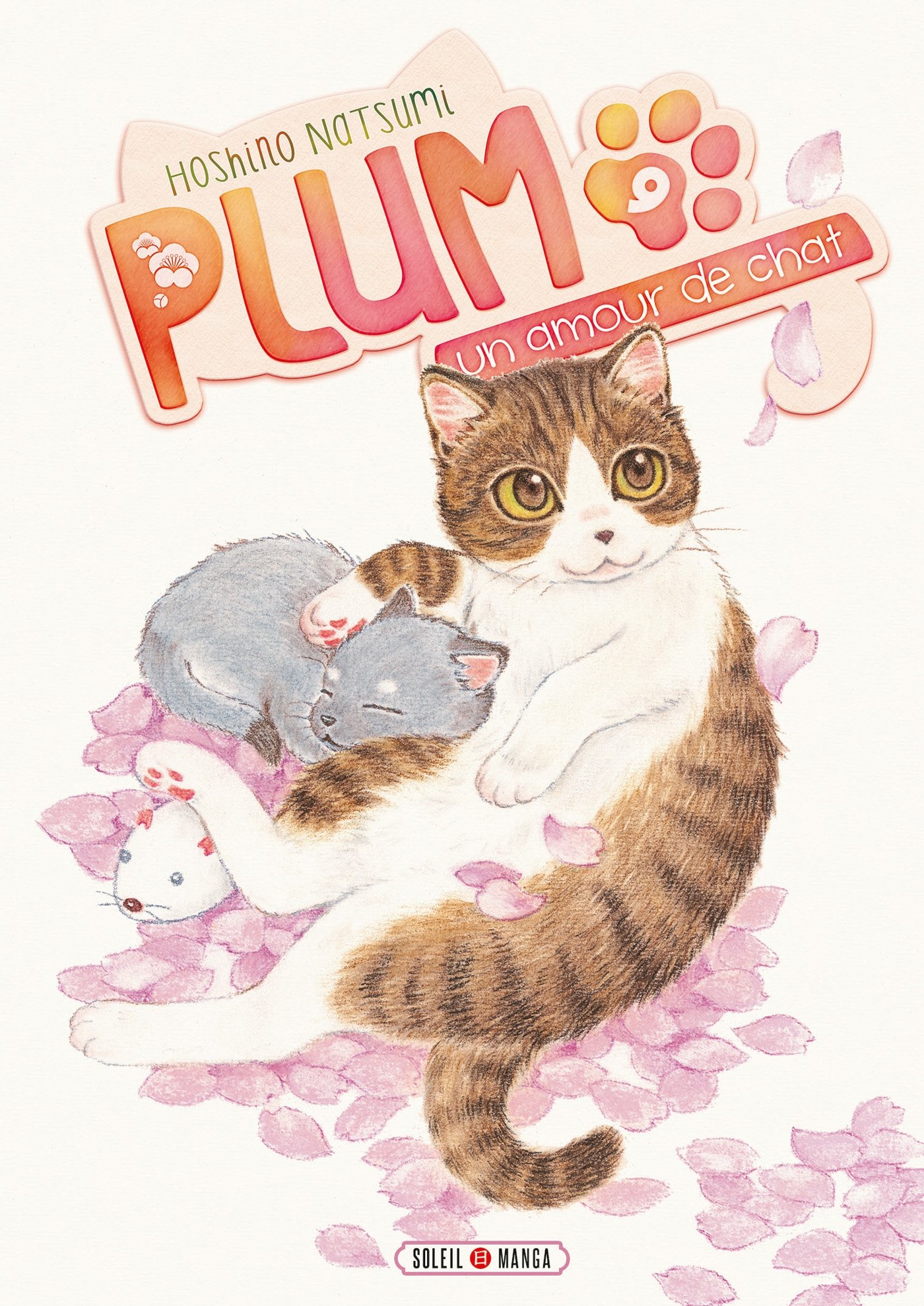 Plum, un amour de chat T09 Fiche Technique et Prix au Maroc