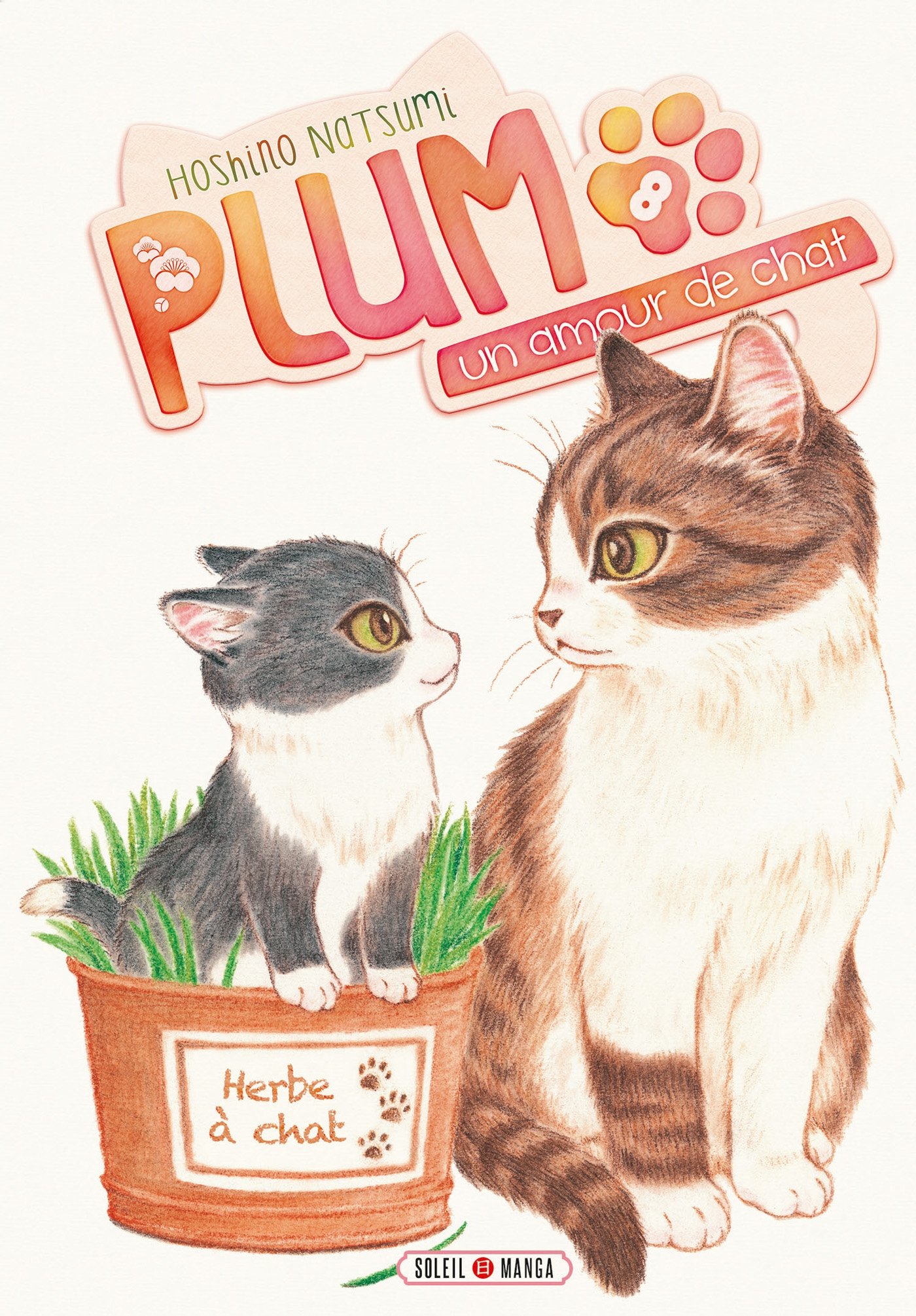 Plum, un amour de chat T08 Fiche Technique et Prix au Maroc