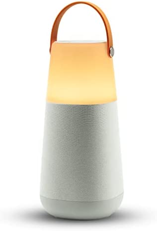 ION Audio Bright Max – Enceinte Bluetooth 360° Portable et étanche avec lumières, Sons d'ambiance, Technologie Multi-Sync et Batterie Rechargeable Fiche Technique et Prix au Maroc