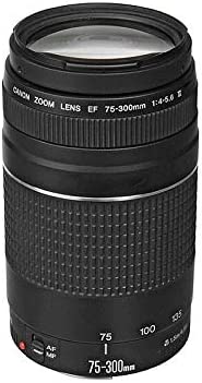 Canon EF 75-300mm f/4.0-5.6 III Objectif [Ancien Modèle] Fiche Technique et Prix au Maroc