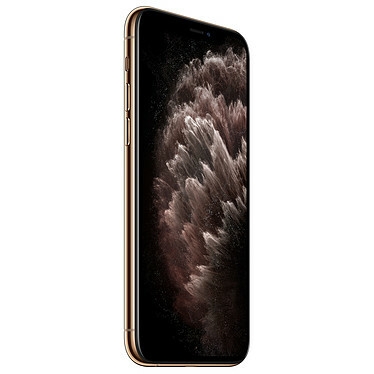 Apple iPhone 11 Pro 512 Go Or · Reconditionné