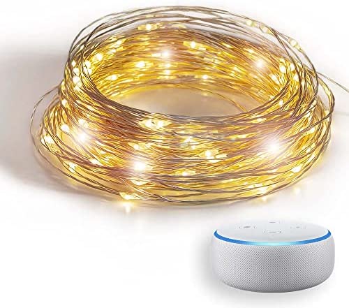 GuirLED - Guirlande lumineuse wifi mini LED USB - Commande Vocale - Maison connectée - Amazon Alexa & Google Assistant - Adaptateur secteur double USB 2A inclus - 100 LED 10 mètres - Filament Silver Fiche Technique et Prix au Maroc