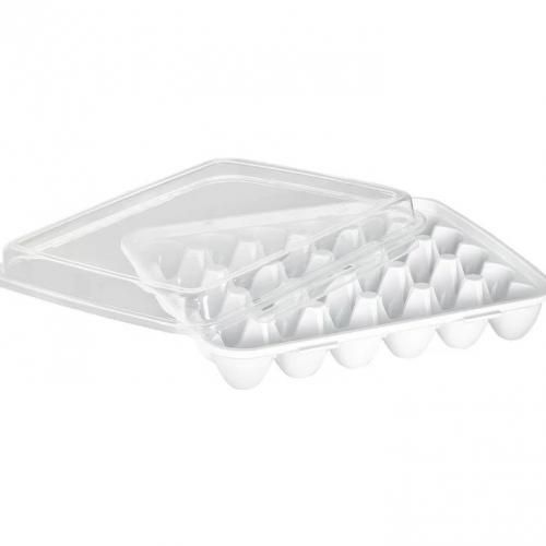 PLASTART Porte-Oeufs  Avec Fermeture 30 Pcs
 Fiche Technique et Prix au Maroc