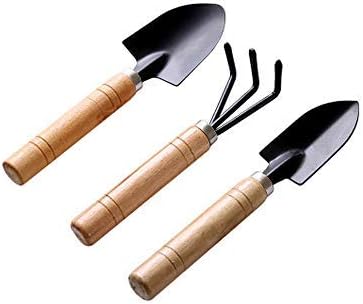 Sprießen Noir 3 pcs Ensemble Mini Outils de Jardinage Pelle Râteau Spade Plantes Succulentes en Pot de Fleurs Outils de Jardin Griffe avec poignées en Bois Avis, Fiche Technique et Prix au Maroc