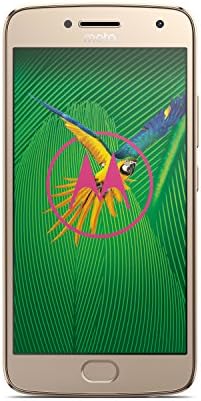 Lenovo Moto G5 Plus Téléphone débloqué 4G [Version Allemagne] Or Fiche Technique et Prix au Maroc