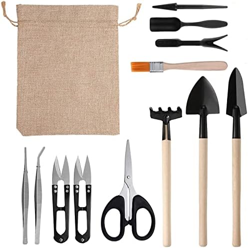 Lot de 12 Mini Outils de Jardin, Kit de Jardin succulente, kit de Cactus, Mini Outils de Jardinage d'intérieur pour Plantes succulentes, Transplantation à la Main, Outils de Jardinage Miniatures Avis, Fiche Technique et Prix au Maroc
