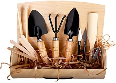 the lux | Mini ensemble d'outils de jardinage | 10 pièces dans une boîte pour les amateurs de plantes, outils de qualité pour plantes d'intérieur, herbes, fleurs en pot, plantes grasses, bonsaï et Avis, Fiche Technique et Prix au Maroc