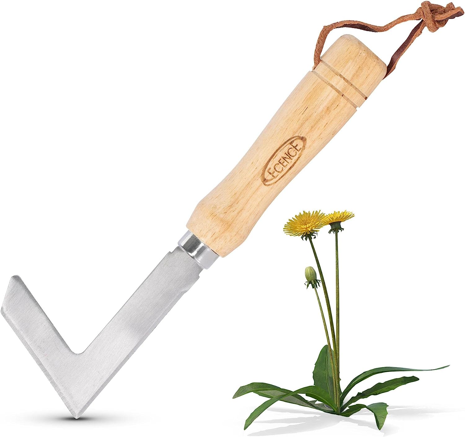 ECENCE Grattoir de Jardin Desherbeur Manuel en Acier Inoxydable Couteau à Joints pour Enlever la Mousse & Les Mauvaises Herbes Désherbeur avec Manche en Bois 23cm Avis, Fiche Technique et Prix au Maroc