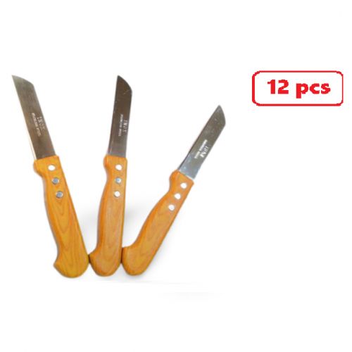 pack de 12 pièces couteaux inox de Fruits et dessert -12 couteaux pour cuisine
 Fiche Technique et Prix au Maroc