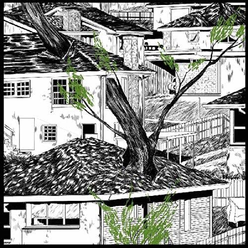 Bouts
 Fiche Technique et Prix au Maroc