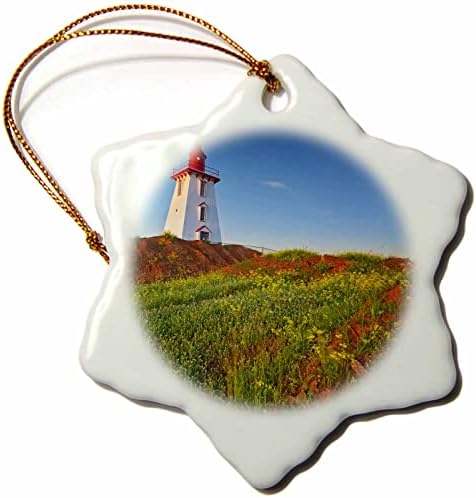 3dRose Canada, Î.-P.-É.  Phare de Souris East sur Knight Point au lever du soleil.  - Ornements (orn-343420-1)
Avis,  Fiche Technique et Prix au Maroc