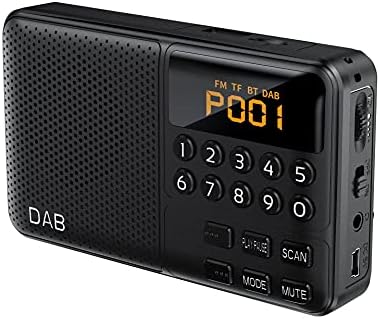 Radio FM numérique Dab/Dab+ Prise casque Bluetooth Batterie rechargeable Radio Dab pleine bande Radio portable avec lecture de carte TF Chargement USB (Couleur : Gris) (Noir)
 Avis, Fiche Technique et Prix au Maroc