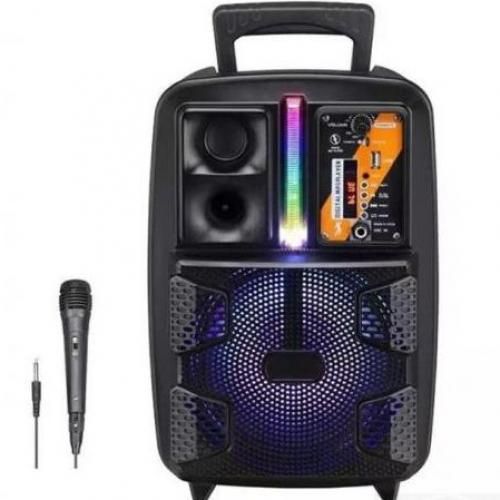 DIGIT PLUS Haut-parleur de danseur portable sans fil avec microphone
 Fiche Technique et Prix au Maroc