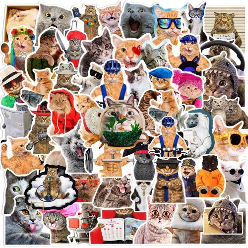 stickers Cute Funny MEME Cat Kawaii Cartoon Animals Decals Laptop Motorcycle Suitcase Notebook lot/40 pcs
 Fiche Technique et Prix au Maroc