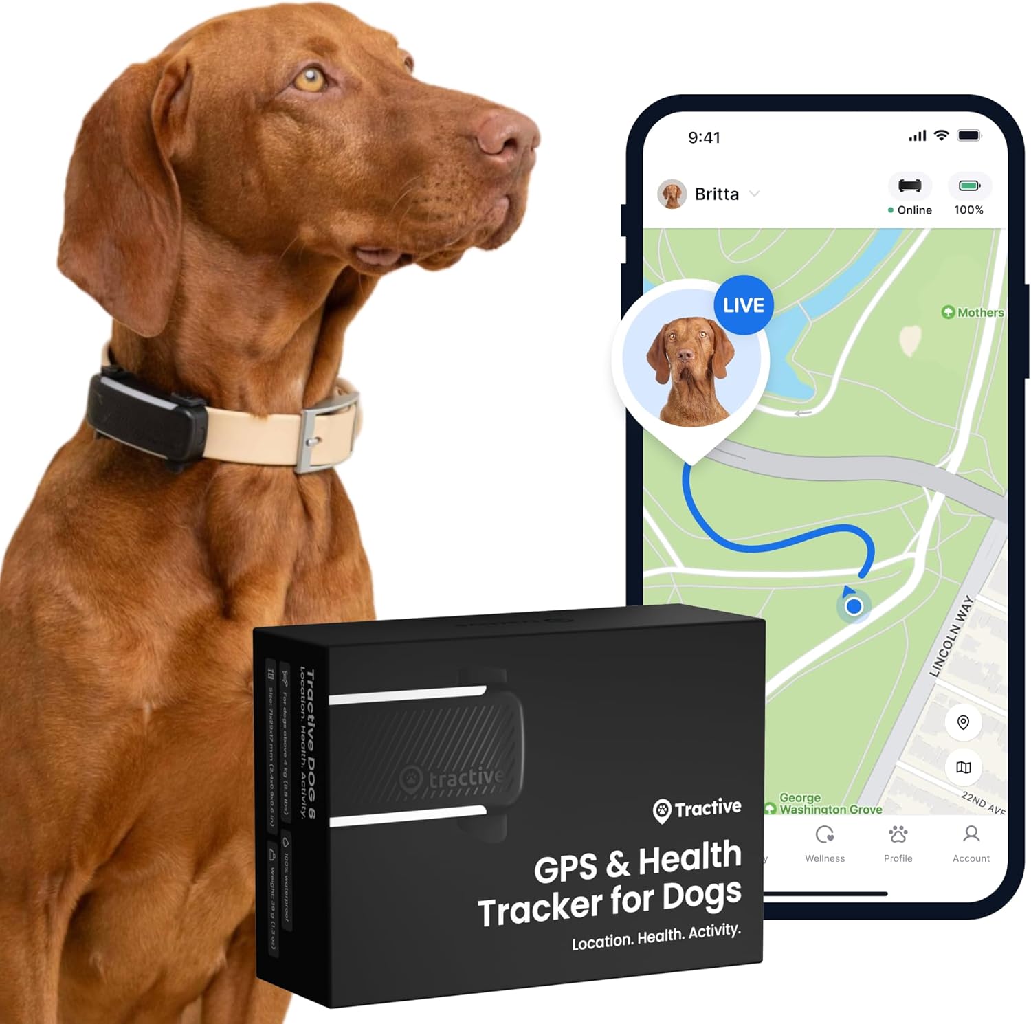 Tractive – Collier GPS pour chien | 2025 Édition | Leader du marché | Localisation en direct | Alertes anti-fugue | Moniteur d'activité et d'aboiements | Alertes de santé (Noir)