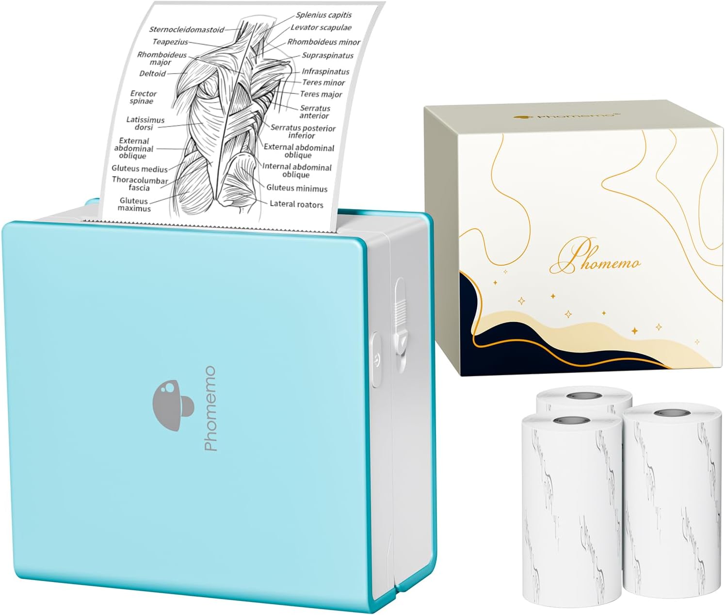 Phomemo M02 Mini Portable Thermal Photo Printer, Wireless Bluetooth Sticker Printer, Compatible with Android and iOS, Comes with 3 Rolls of Paper - Green