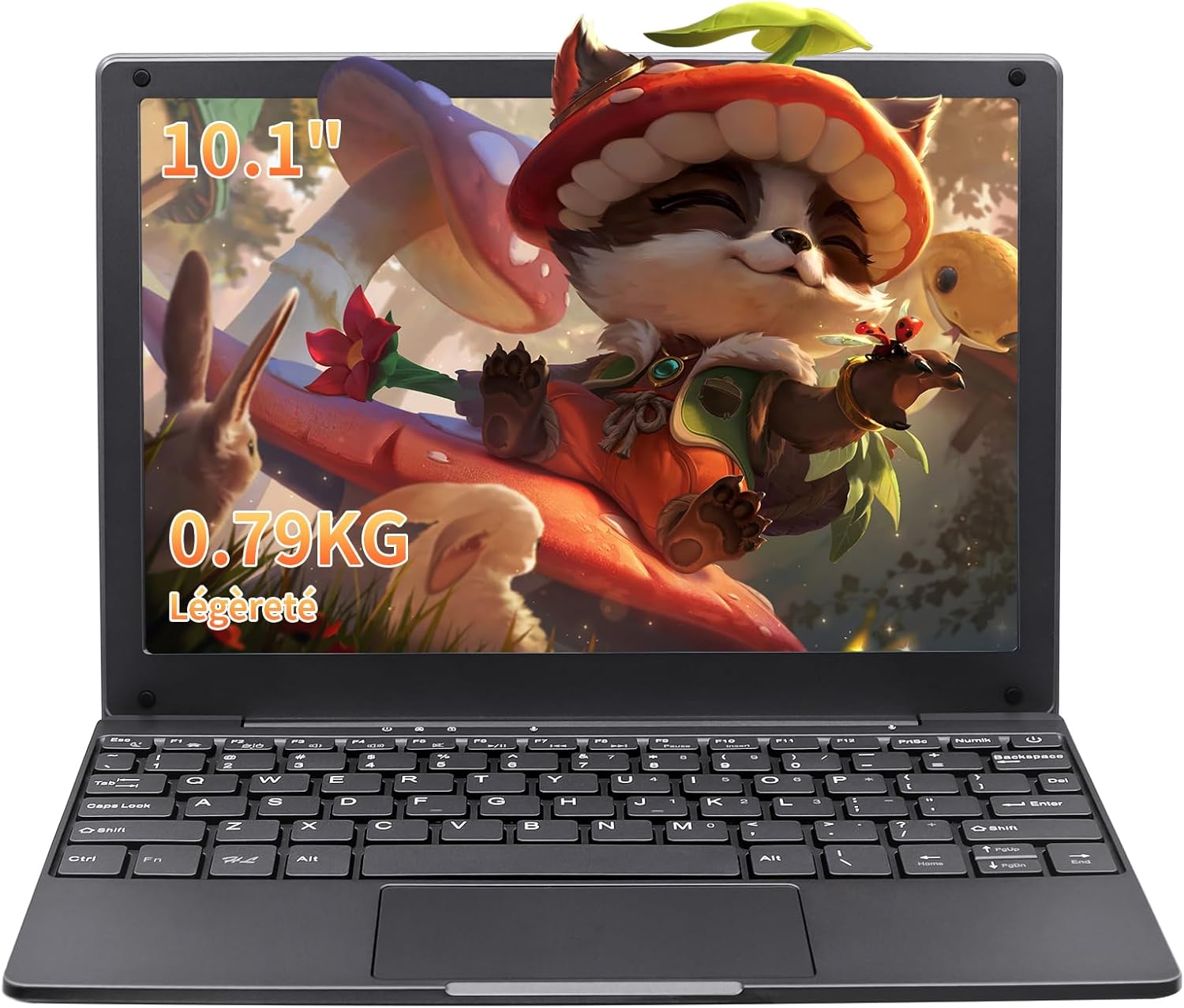 LONGEVINCE Celeron N4020, 1280 x 800 Mini Laptop, 10.1 Inch Laptop, 8G Memory, BT5.0, Type-C, USB3.0 x 2, Mini HDMI, TF Card, 0.75 kg (Grey, 8G + 256GB SSD)