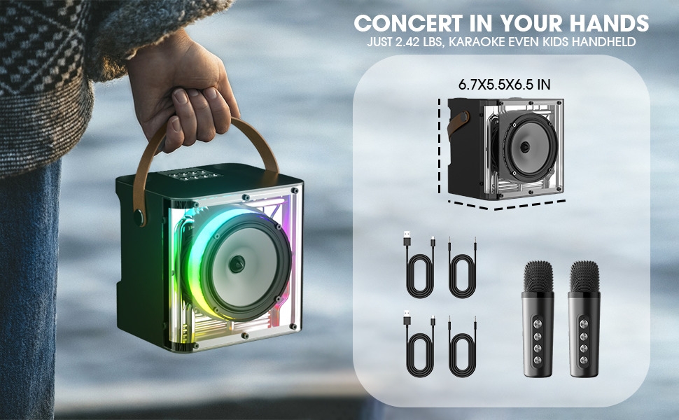 microphone and speaker